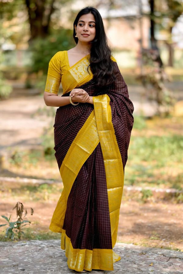 Lassitude Brown Soft Silk Saree With Bucolic Blouse Piece
