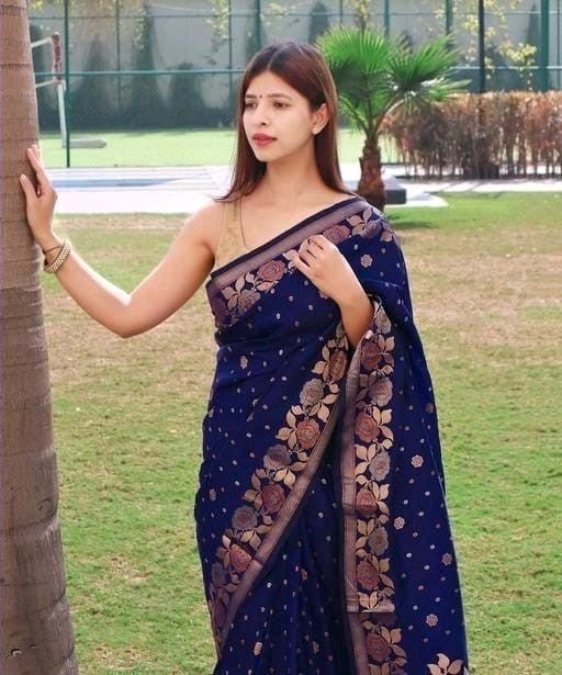 ShrijiAvadh-SC-122-NavyBlue_2